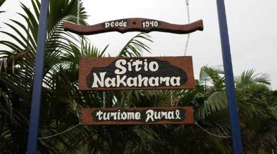 Captura de tela 2025-02-20 164605.png